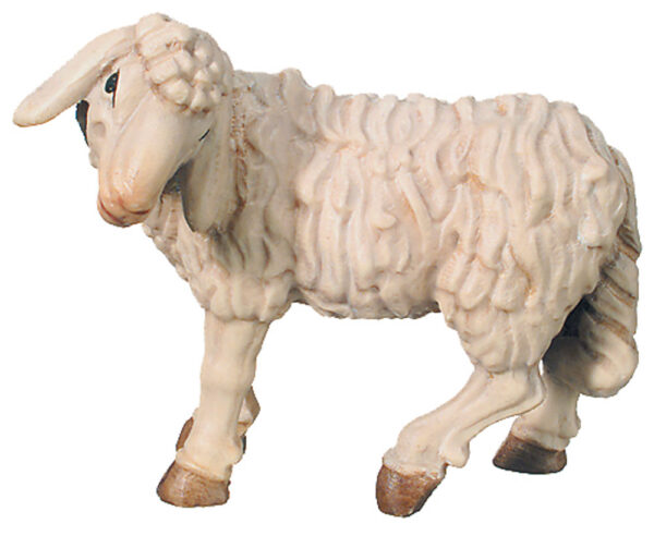 Oveja (Belen Rafael)-0