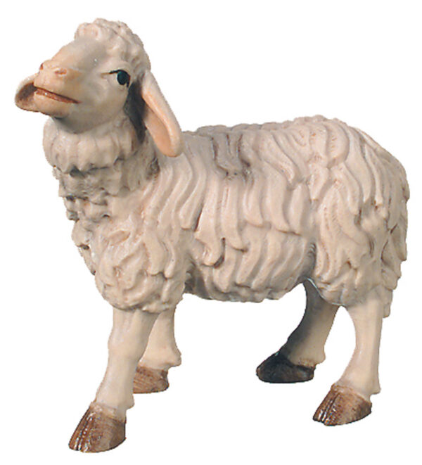 Oveja (Belen Rafael)-0