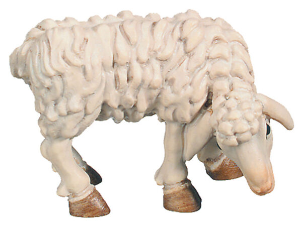 Oveja (Belen Rafael)-0