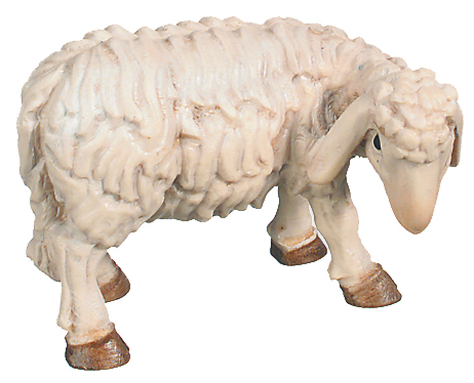 Sheep (Rafael Nativity)