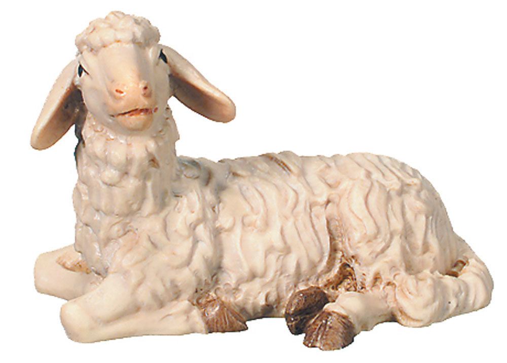 Sheep lying (Rafael Nativity)