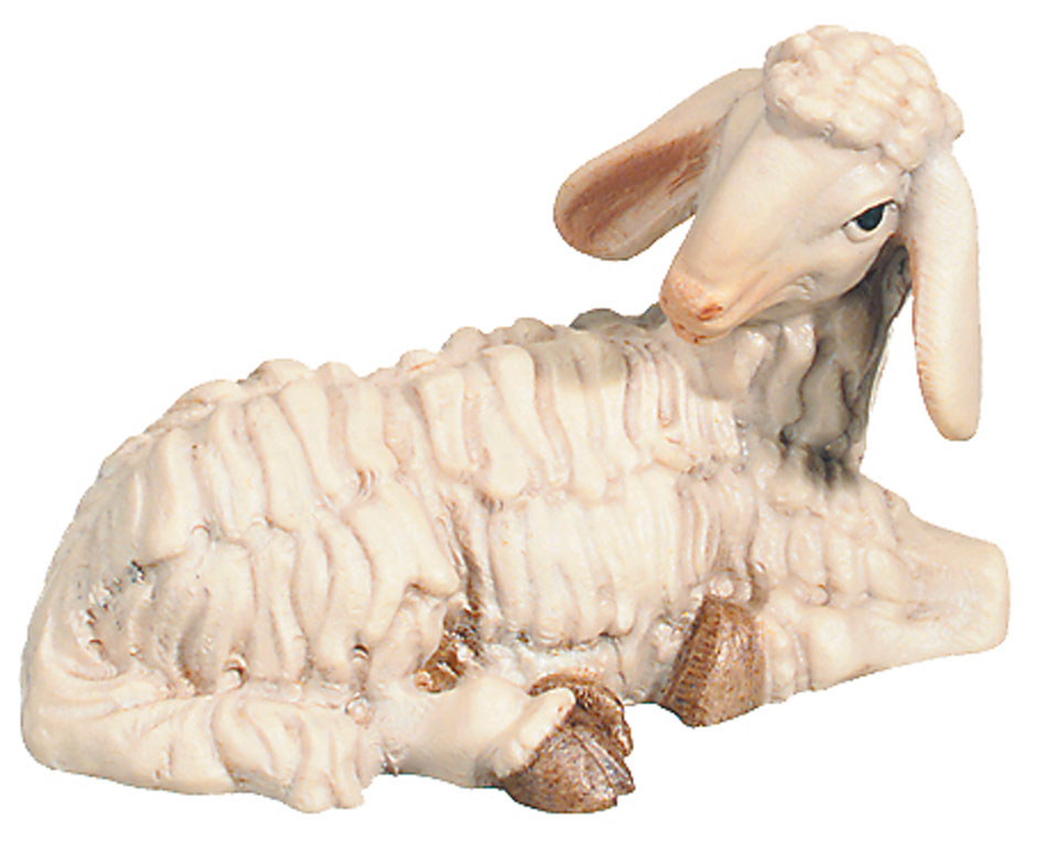 Sheep lying (Rafael Nativity)