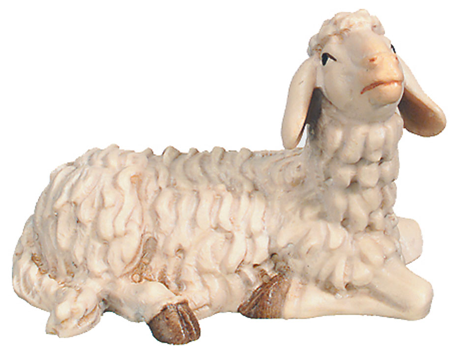 Sheep lying (Rafael Nativity)