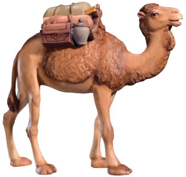 Camello con equipaje (Belen Leonard)-0