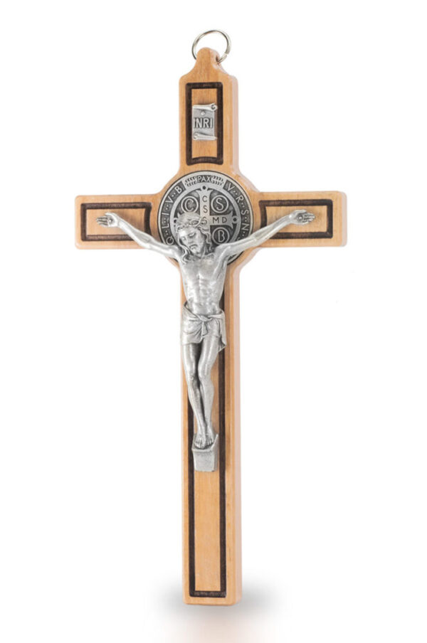 Cruz de San Benito. Olivo-0