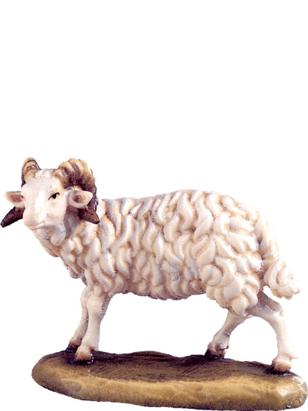 Carnero (Belen Alpes)-0