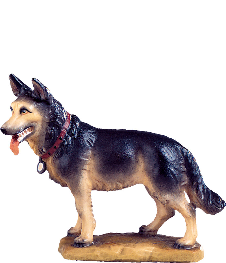 Sheepdog (Alpes Nativity)