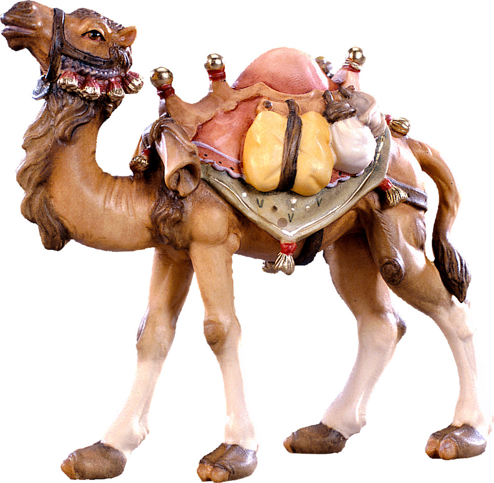 Camel (Alpes Nativity)