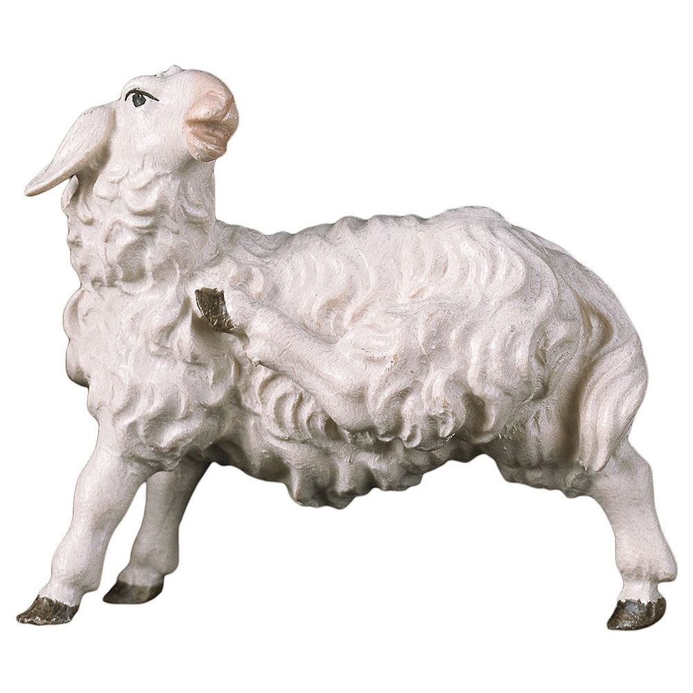 Sheep scratching itself (Casales Nativity)