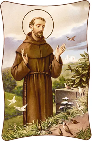 Cuadro de San Francisco de Asis
