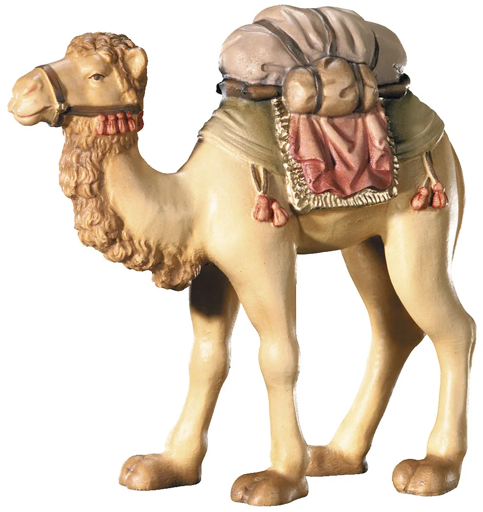 Camel (Leonard Nativity)