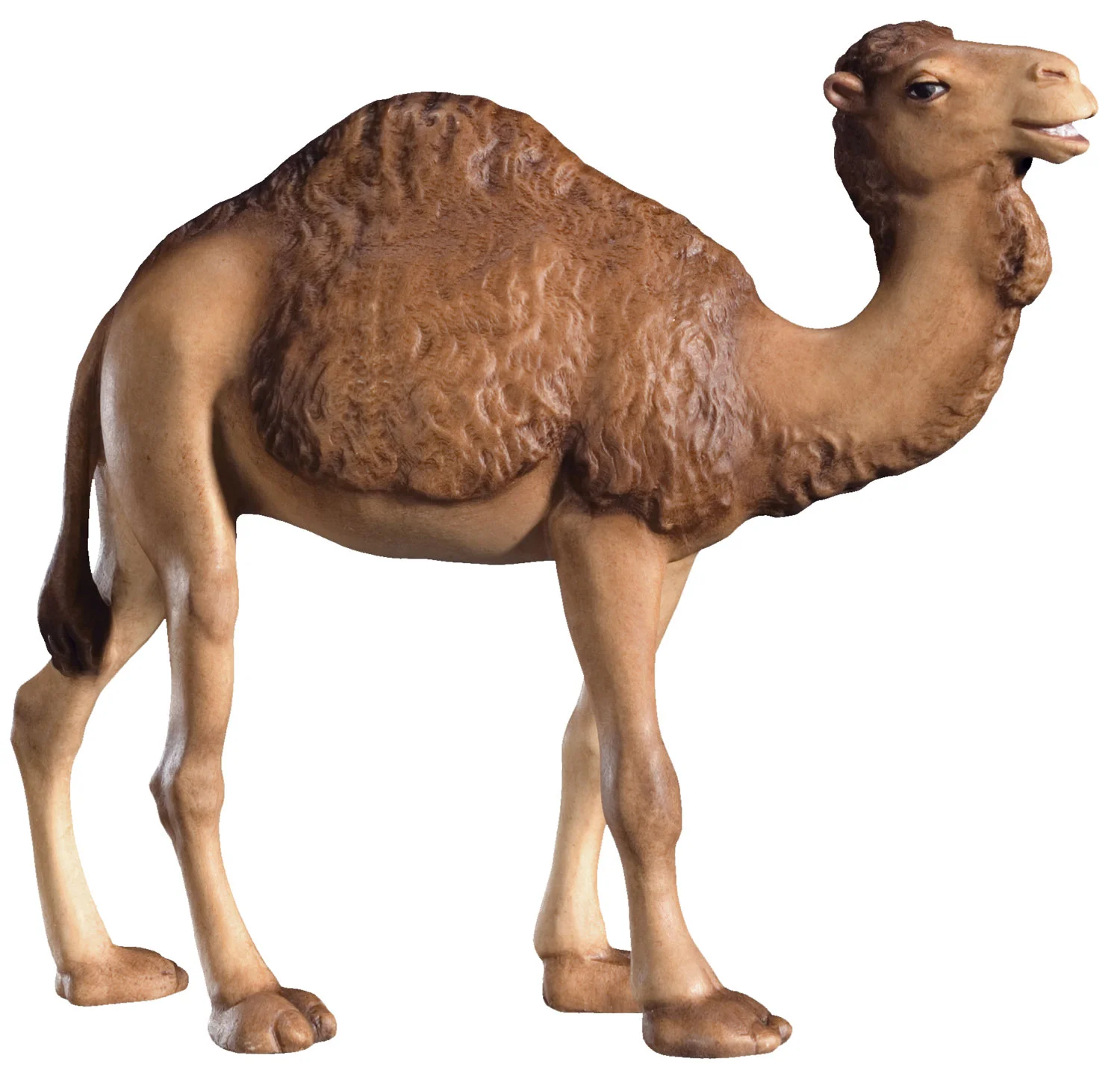 Camel (Leonard Nativity)