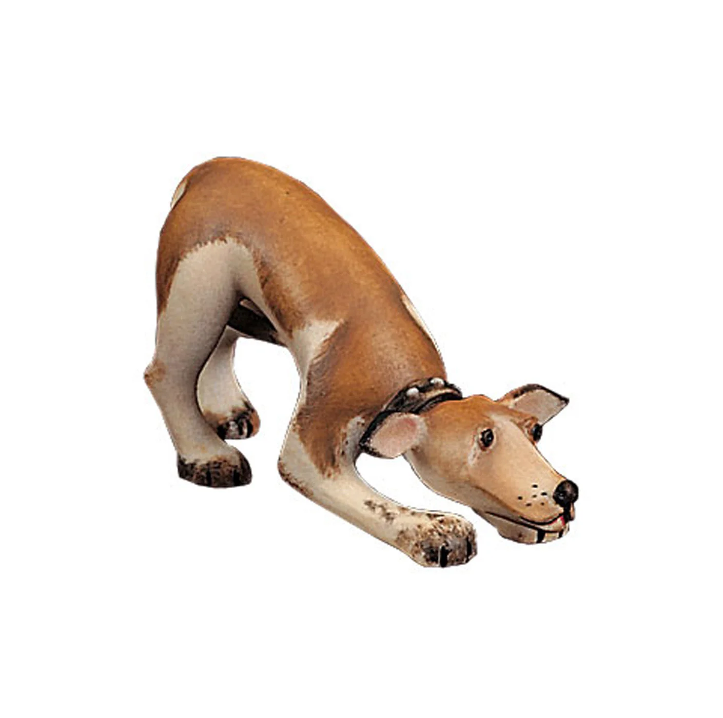 Perro (Nacimiento Kastlunger)